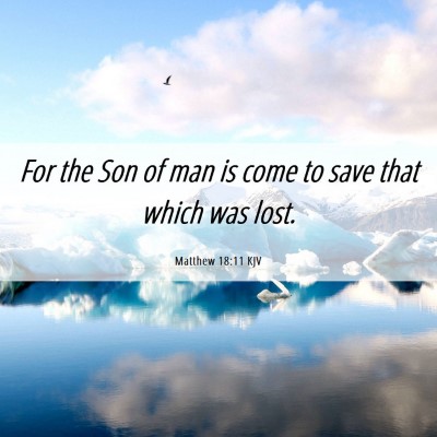 Picture 06 - Matthew 18:11 KJV - For the Son of man is come to save that which was - Bible Verse Picture