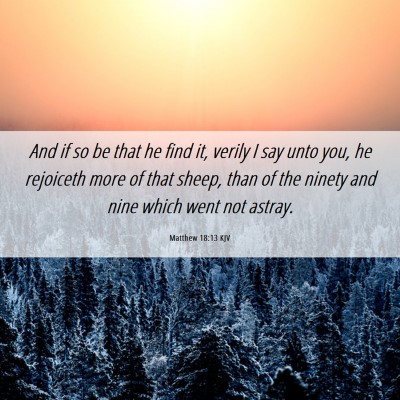 Picture 06 - Matthew 18:13 KJV - And if so be that he find it, verily I say unto - Bible Verse Picture