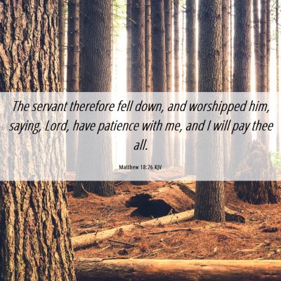 Picture 06 - Matthew 18:26 KJV - The servant therefore fell down, and worshipped - Bible Verse Picture