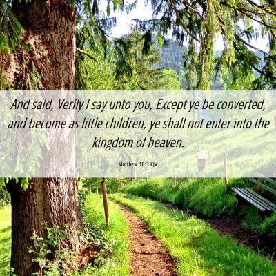 Picture 06 - Matthew 18:3 KJV - And said, Verily I say unto you, Except ye be - Bible Verse Picture