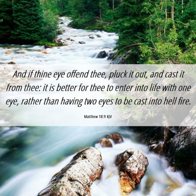 Picture 06 - Matthew 18:9 KJV - And if thine eye offend thee, pluck it out, and - Bible Verse Picture
