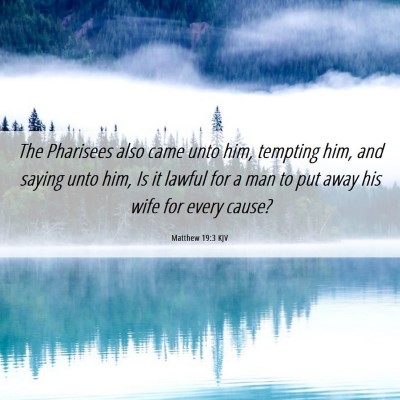 Picture 06 - Matthew 19:3 KJV - The Pharisees also came unto him, tempting him, - Bible Verse Picture