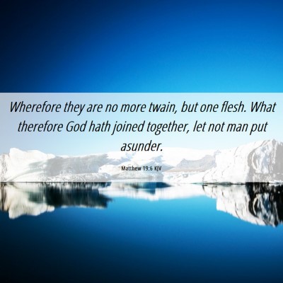 Picture 06 - Matthew 19:6 KJV - Wherefore they are no more twain, but one flesh. - Bible Verse Picture