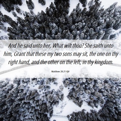 Picture 06 - Matthew 20:21 KJV - And he said unto her, What wilt thou? She saith - Bible Verse Picture