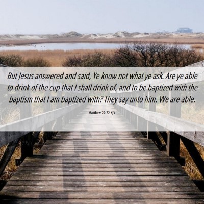 Picture 06 - Matthew 20:22 KJV - But Jesus answered and said, Ye know not what ye - Bible Verse Picture