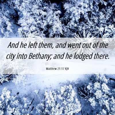 Picture 06 - Matthew 21:17 KJV - And he left them, and went out of the city into - Bible Verse Picture