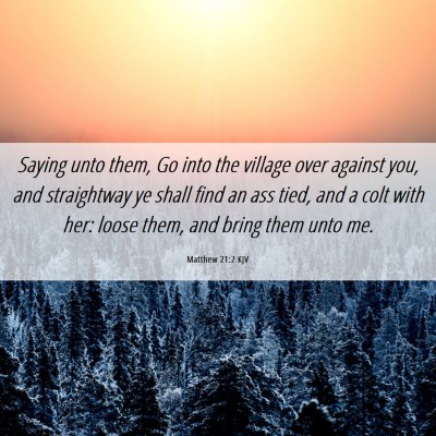 Picture 06 - Matthew 21:2 KJV - Saying unto them, Go into the village over - Bible Verse Picture