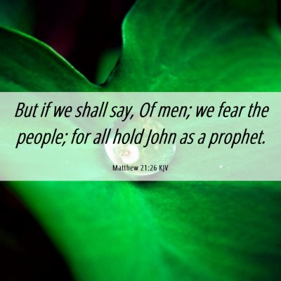 Picture 06 - Matthew 21:26 KJV - But if we shall say, Of men; we fear the people; - Bible Verse Picture