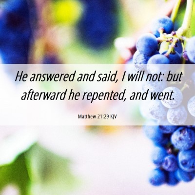 Picture 06 - Matthew 21:29 KJV - He answered and said, I will not: but afterward - Bible Verse Picture