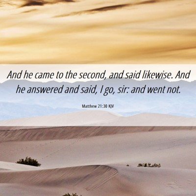 Picture 06 - Matthew 21:30 KJV - And he came to the second, and said likewise. And - Bible Verse Picture