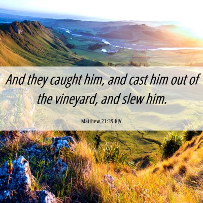 Picture 06 - Matthew 21:39 KJV - And they caught him, and cast him out of the - Bible Verse Picture