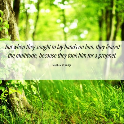 Picture 06 - Matthew 21:46 KJV - But when they sought to lay hands on him, they - Bible Verse Picture