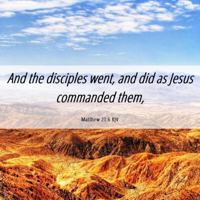 Picture 06 - Matthew 21:6 KJV - And the disciples went, and did as Jesus - Bible Verse Picture