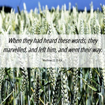 Picture 06 - Matthew 22:22 KJV - When they had heard these words, they marvelled, - Bible Verse Picture