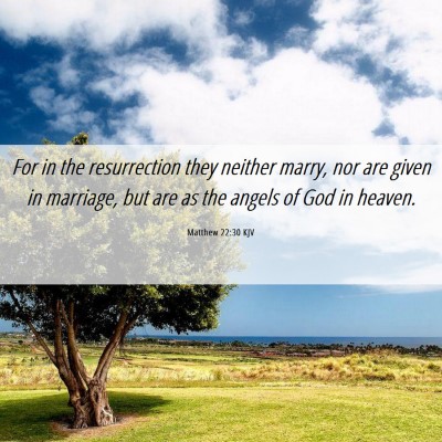 Picture 06 - Matthew 22:30 KJV - For in the resurrection they neither marry, nor - Bible Verse Picture