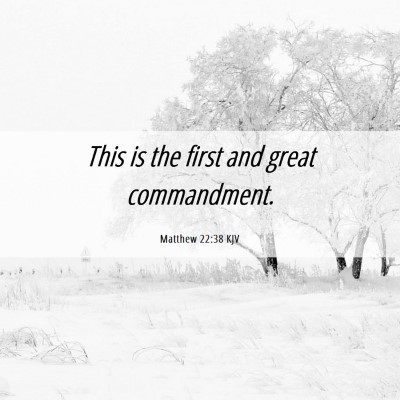 Picture 06 - Matthew 22:38 KJV - This is the first and great - Bible Verse Picture