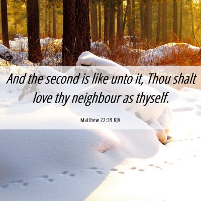 Picture 06 - Matthew 22:39 KJV - And the second is like unto it, Thou shalt love - Bible Verse Picture