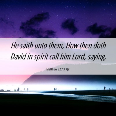 Picture 06 - Matthew 22:43 KJV - He saith unto them, How then doth David in spirit - Bible Verse Picture