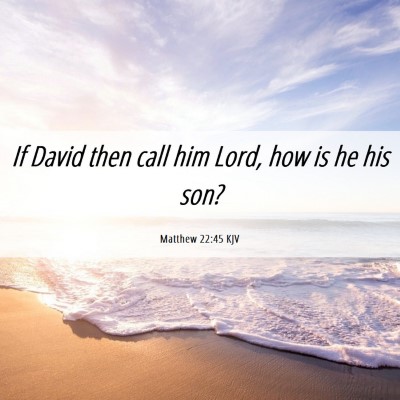 Picture 06 - Matthew 22:45 KJV - If David then call him Lord, how is he his - Bible Verse Picture