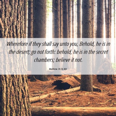 Picture 06 - Matthew 24:26 KJV - Wherefore if they shall say unto you, Behold, he - Bible Verse Picture
