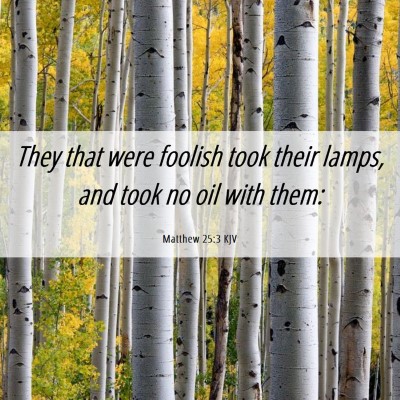 Picture 06 - Matthew 25:3 KJV - They that were foolish took their lamps, and took - Bible Verse Picture