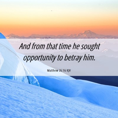 Picture 06 - Matthew 26:16 KJV - And from that time he sought opportunity to - Bible Verse Picture