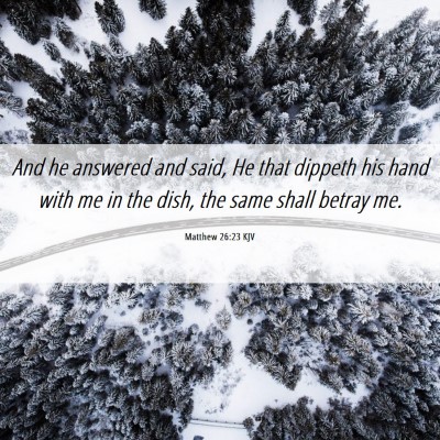 Picture 06 - Matthew 26:23 KJV - And he answered and said, He that dippeth his - Bible Verse Picture