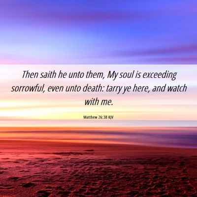 Picture 06 - Matthew 26:38 KJV - Then saith he unto them, My soul is exceeding - Bible Verse Picture