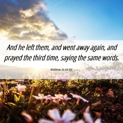 Picture 06 - Matthew 26:44 KJV - And he left them, and went away again, and prayed - Bible Verse Picture
