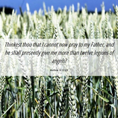 Picture 06 - Matthew 26:53 KJV - Thinkest thou that I cannot now pray to my - Bible Verse Picture