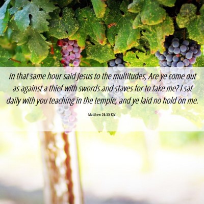 Picture 06 - Matthew 26:55 KJV - In that same hour said Jesus to the multitudes, - Bible Verse Picture