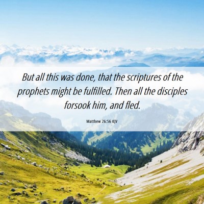 Picture 06 - Matthew 26:56 KJV - But all this was done, that the scriptures of the - Bible Verse Picture