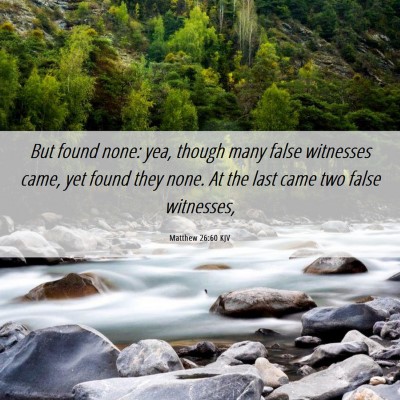 Picture 06 - Matthew 26:60 KJV - But found none: yea, though many false witnesses - Bible Verse Picture
