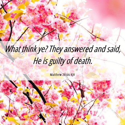 Picture 06 - Matthew 26:66 KJV - What think ye? They answered and said, He is - Bible Verse Picture
