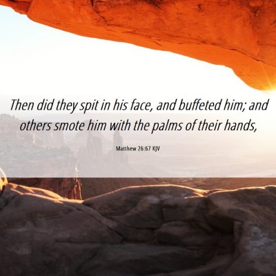 Picture 06 - Matthew 26:67 KJV - Then did they spit in his face, and buffeted him; - Bible Verse Picture