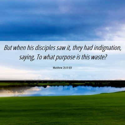 Picture 06 - Matthew 26:8 KJV - But when his disciples saw it, they had - Bible Verse Picture