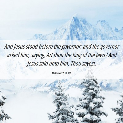 Picture 06 - Matthew 27:11 KJV - And Jesus stood before the governor: and the - Bible Verse Picture