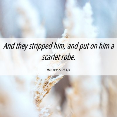 Picture 06 - Matthew 27:28 KJV - And they stripped him, and put on him a scarlet - Bible Verse Picture