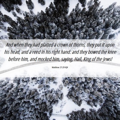 Picture 06 - Matthew 27:29 KJV - And when they had platted a crown of thorns, they - Bible Verse Picture
