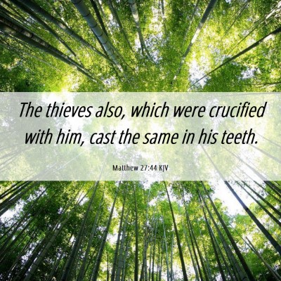 Picture 06 - Matthew 27:44 KJV - The thieves also, which were crucified with him, - Bible Verse Picture