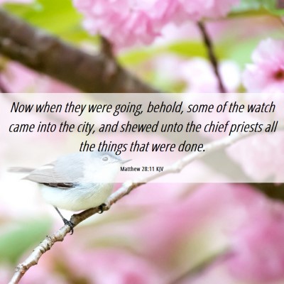 Picture 06 - Matthew 28:11 KJV - Now when they were going, behold, some of the - Bible Verse Picture