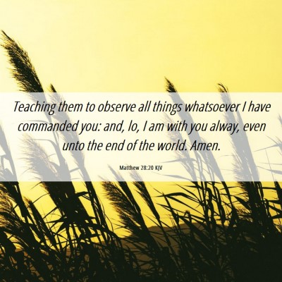 Picture 06 - Matthew 28:20 KJV - Teaching them to observe all things whatsoever I - Bible Verse Picture