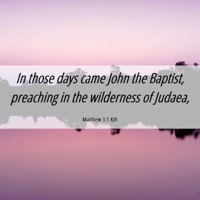 Picture 06 - Matthew 3:1 KJV - In those days came John the Baptist, preaching in - Bible Verse Picture