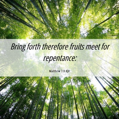 Picture 06 - Matthew 3:8 KJV - Bring forth therefore fruits meet for - Bible Verse Picture