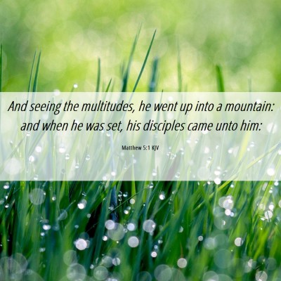 Picture 06 - Matthew 5:1 KJV - And seeing the multitudes, he went up into a - Bible Verse Picture