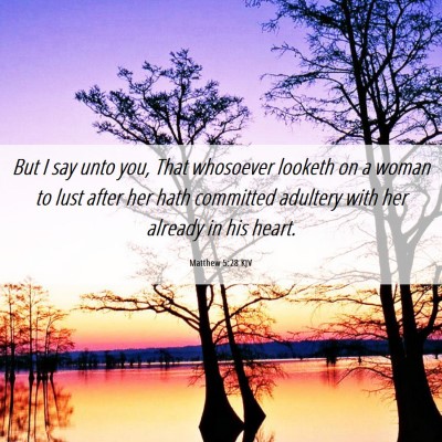 Picture 06 - Matthew 5:28 KJV - But I say unto you, That whosoever looketh on a - Bible Verse Picture