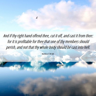 Picture 06 - Matthew 5:30 KJV - And if thy right hand offend thee, cut it off, - Bible Verse Picture