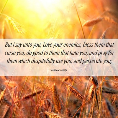 Picture 06 - Matthew 5:44 KJV - But I say unto you, Love your enemies, bless them - Bible Verse Picture