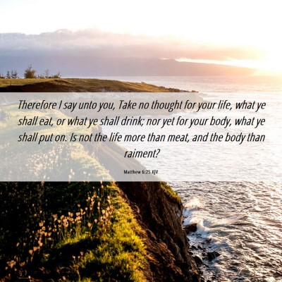 Picture 06 - Matthew 6:25 KJV - Therefore I say unto you, Take no thought for - Bible Verse Picture