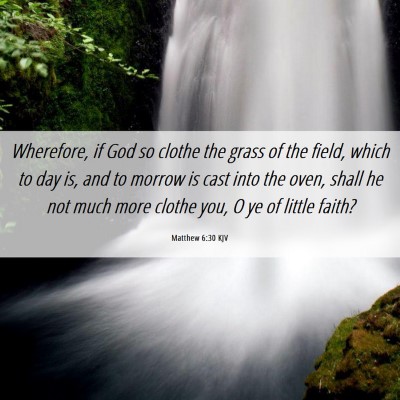 Picture 06 - Matthew 6:30 KJV - Wherefore, if God so clothe the grass of the - Bible Verse Picture